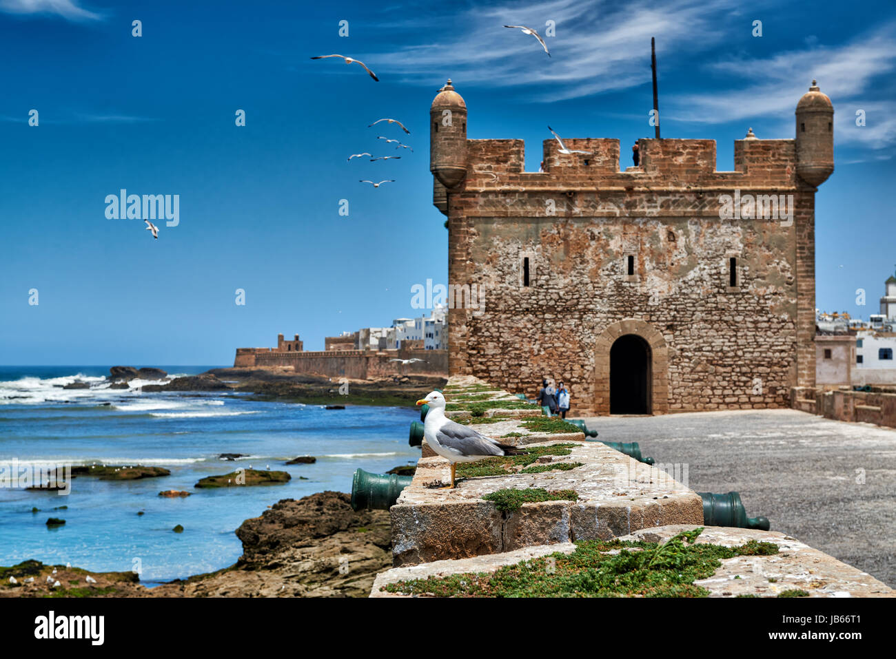 Citadelle de Essaouira, UNESCO World Heritage site, Maroc, Afrique Banque D'Images
