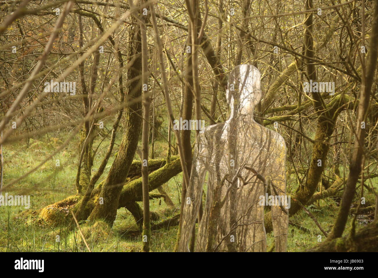 Miroir abstrait coupé de la forme humaine dans les bois reflétant Banque D'Images