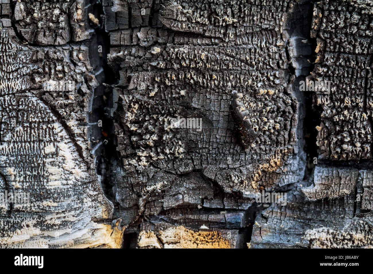 Vieille planche de bois brûlé, de texture en bois fond de bois. Banque D'Images