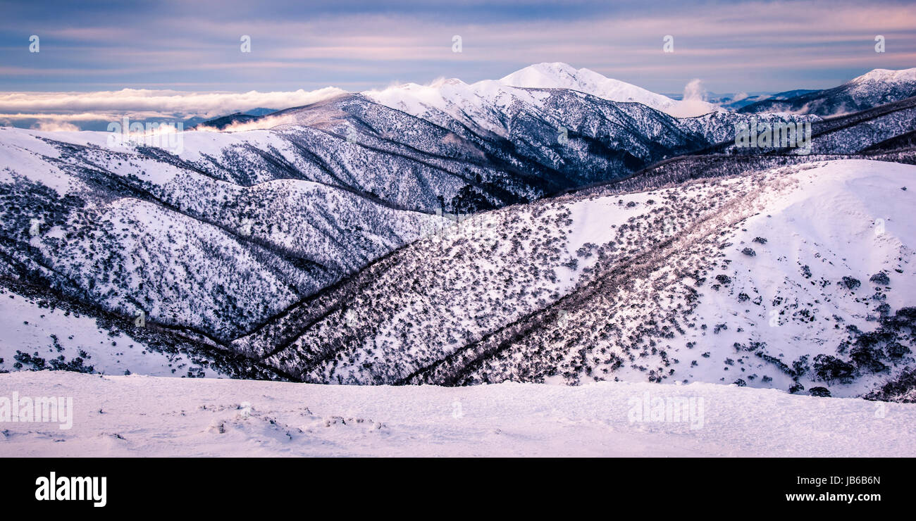 Mont Actaeon dans les Alpes Australiennes, Victoria Banque D'Images