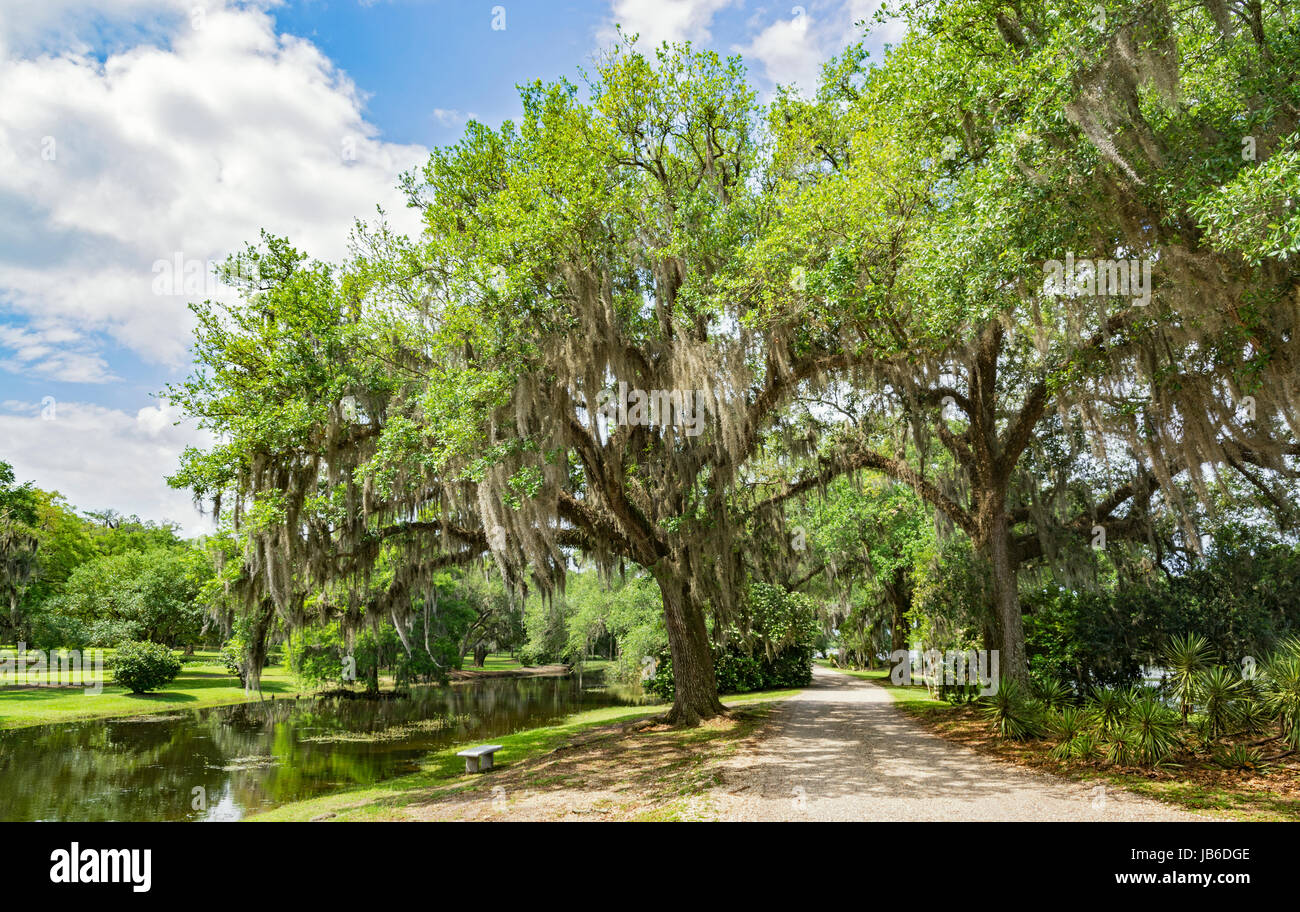 Louisiane, Avery Island, Jungle Gardens, auto tour road Banque D'Images
