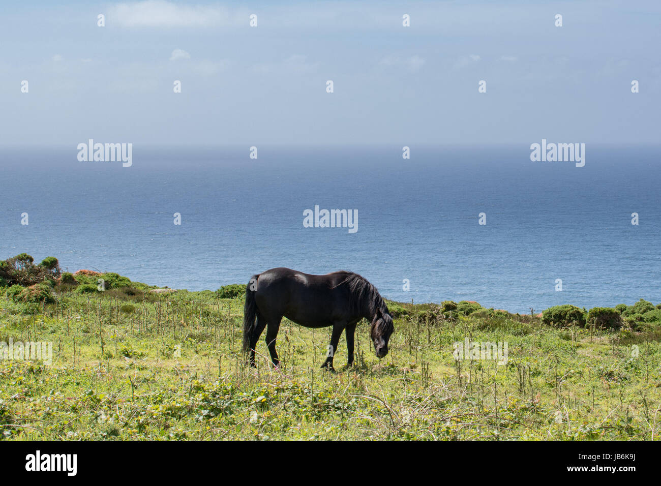 Treen et Penberth, Cornwall, UK. 9 juin 2017. Météo britannique. Un matin chaud et ensoleillé pour les promeneurs profitant du south west coast path à Cornwall, en tenant dans les lieux de tournage - comme Penberth Cove - utilisés dans la nouvelle série de la BBC Poldark commençant le dimanche, avec Aidan Turner et Eleanor Tomlinson. Crédit : Simon Maycock/Alamy Live News Banque D'Images