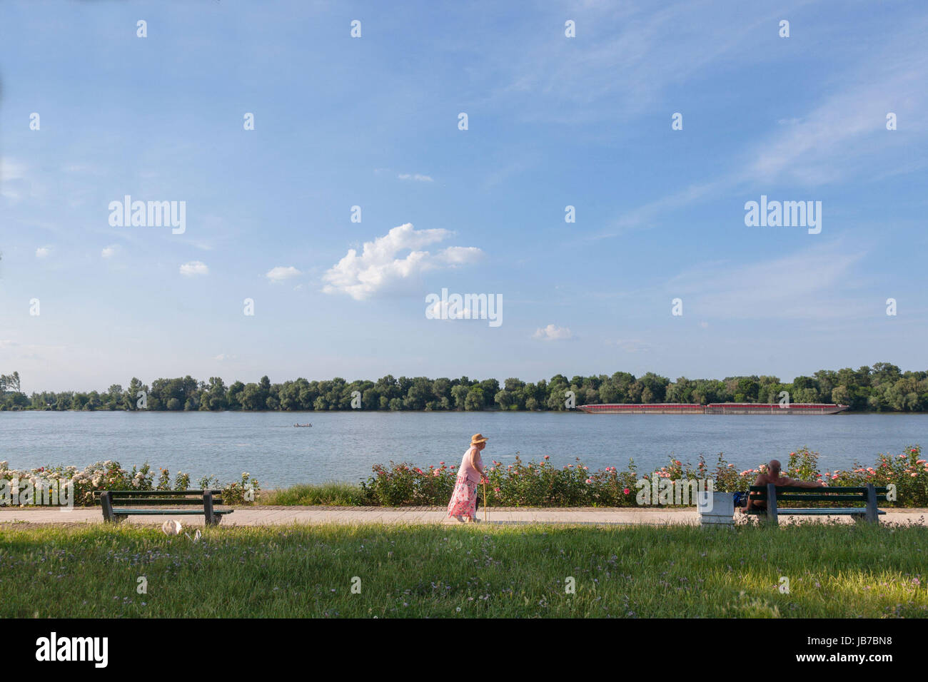 BELGRADE, SERBIE - Juin 03, 2017 : vieille femme marchant devant le Danube, à Belgrade, sur Donji quartier Dorcol, une barge en passant par sur l'eau Banque D'Images