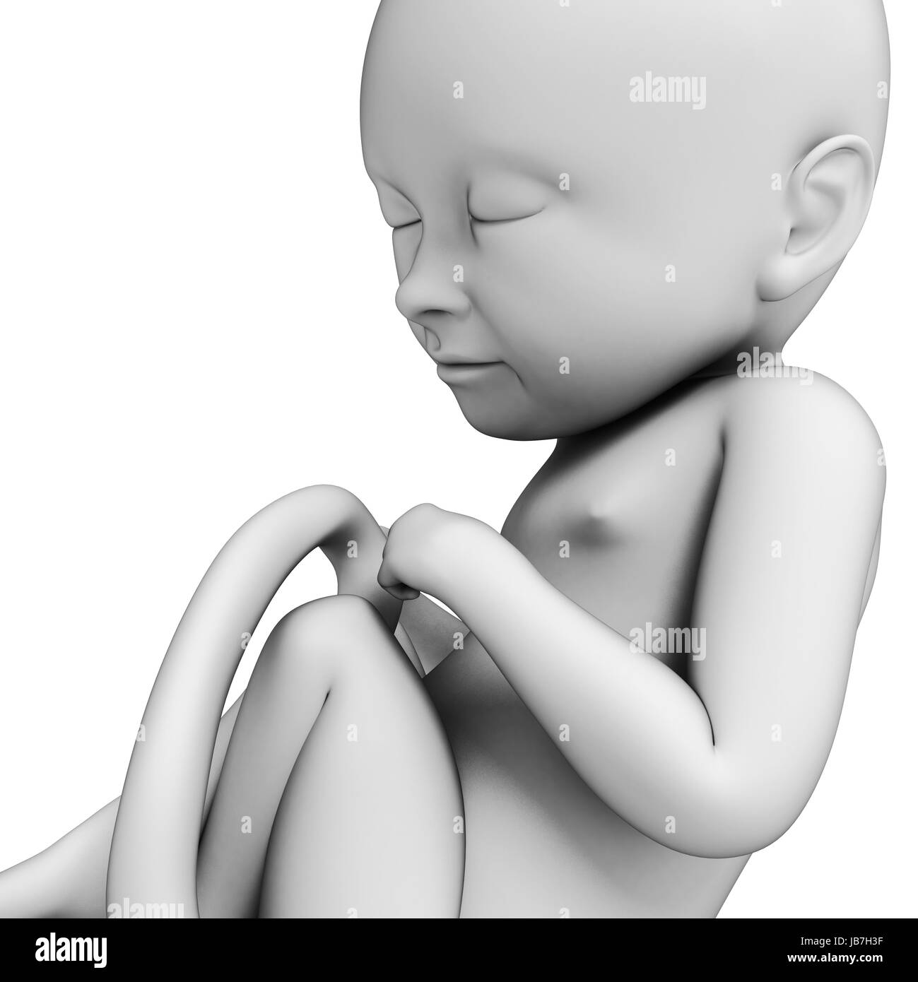Rendu 3d illustration d'un foetus, 8 mois Banque D'Images