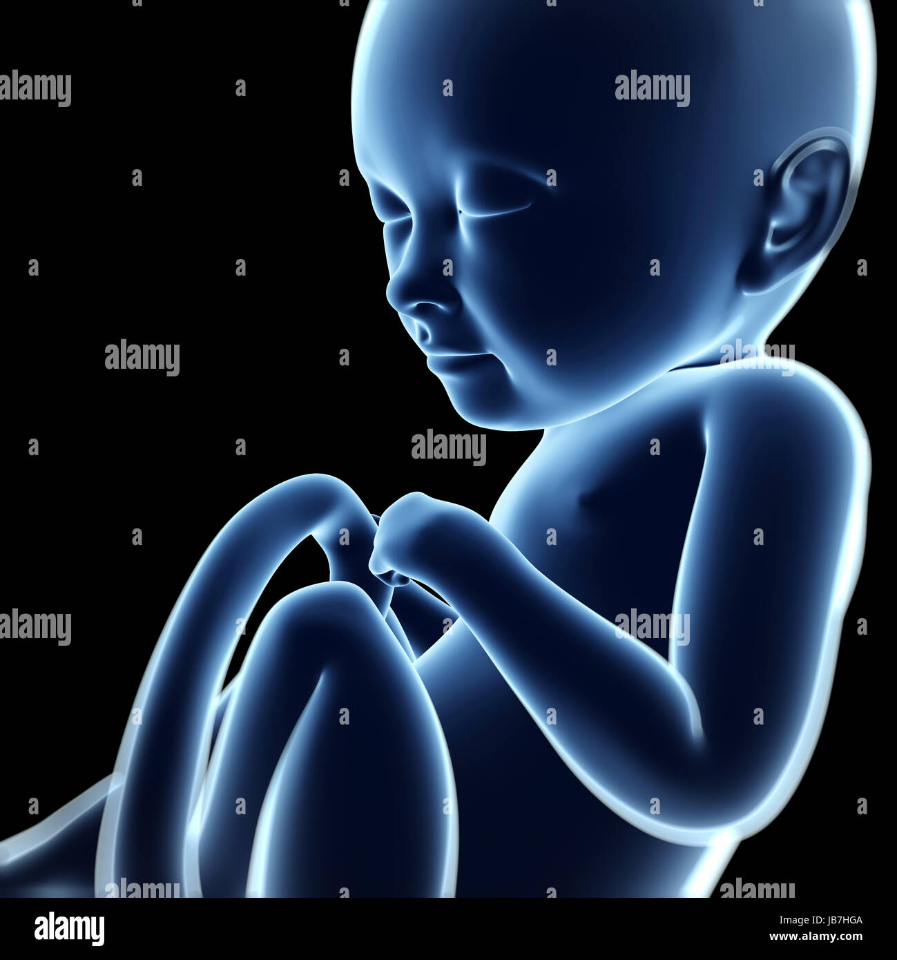 Rendu 3d illustration d'un foetus, 8 mois Banque D'Images