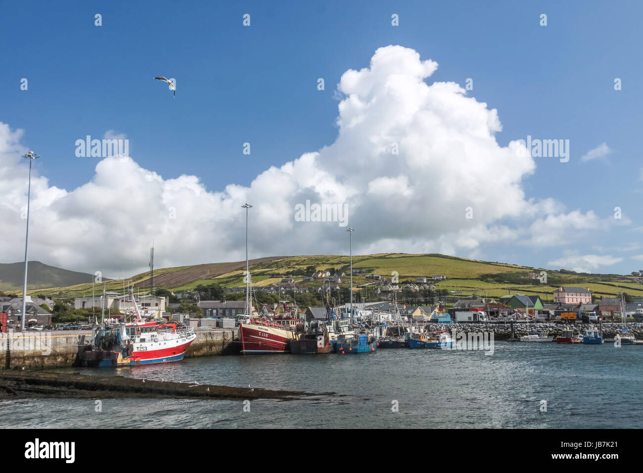 Fischerhafen im Ort Dingle, comté de Kerry, Irlande Banque D'Images