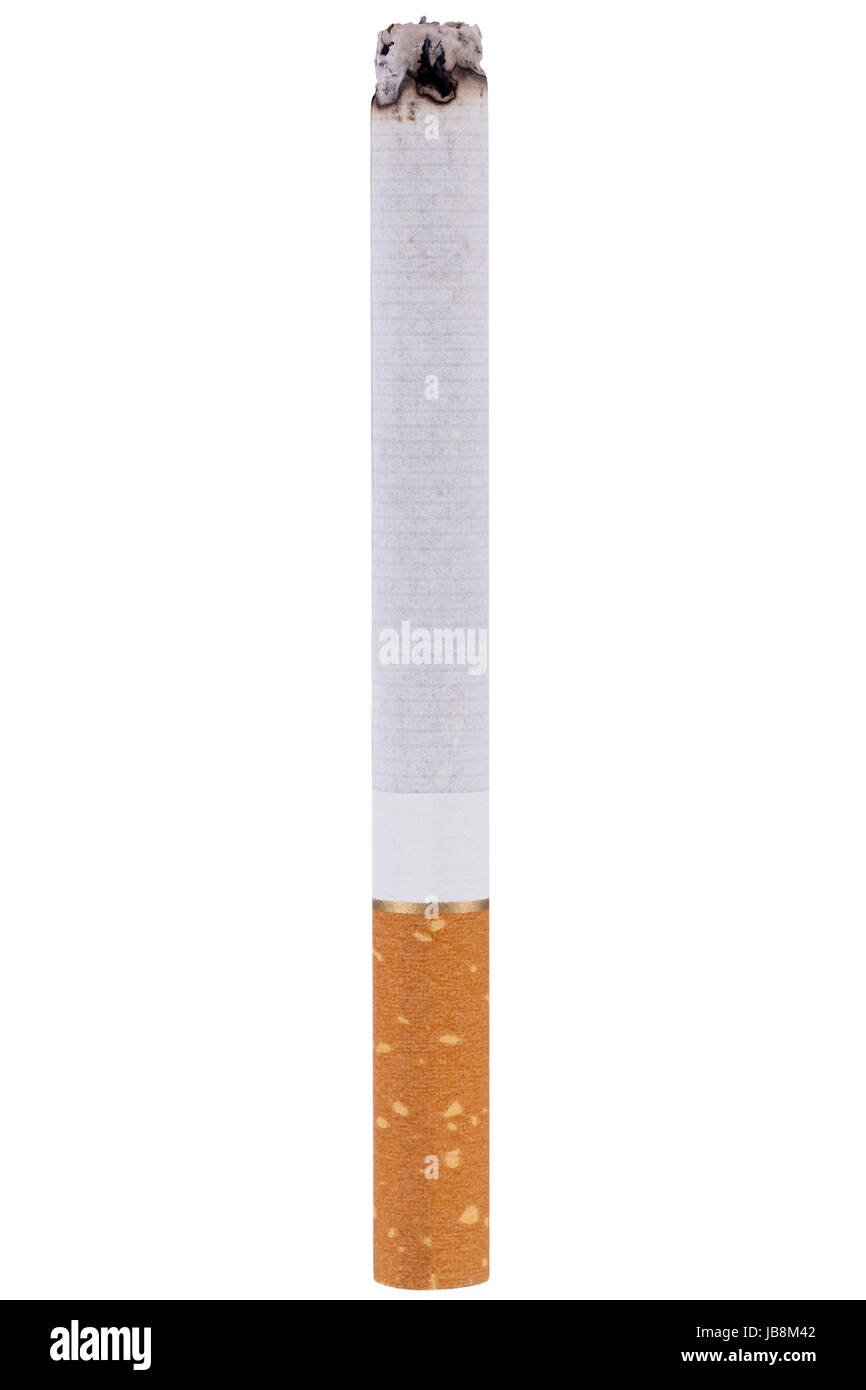 Brennende mit Zigarette Asche als Nahaufnahme vor isoliert weißem Hintergrund Banque D'Images
