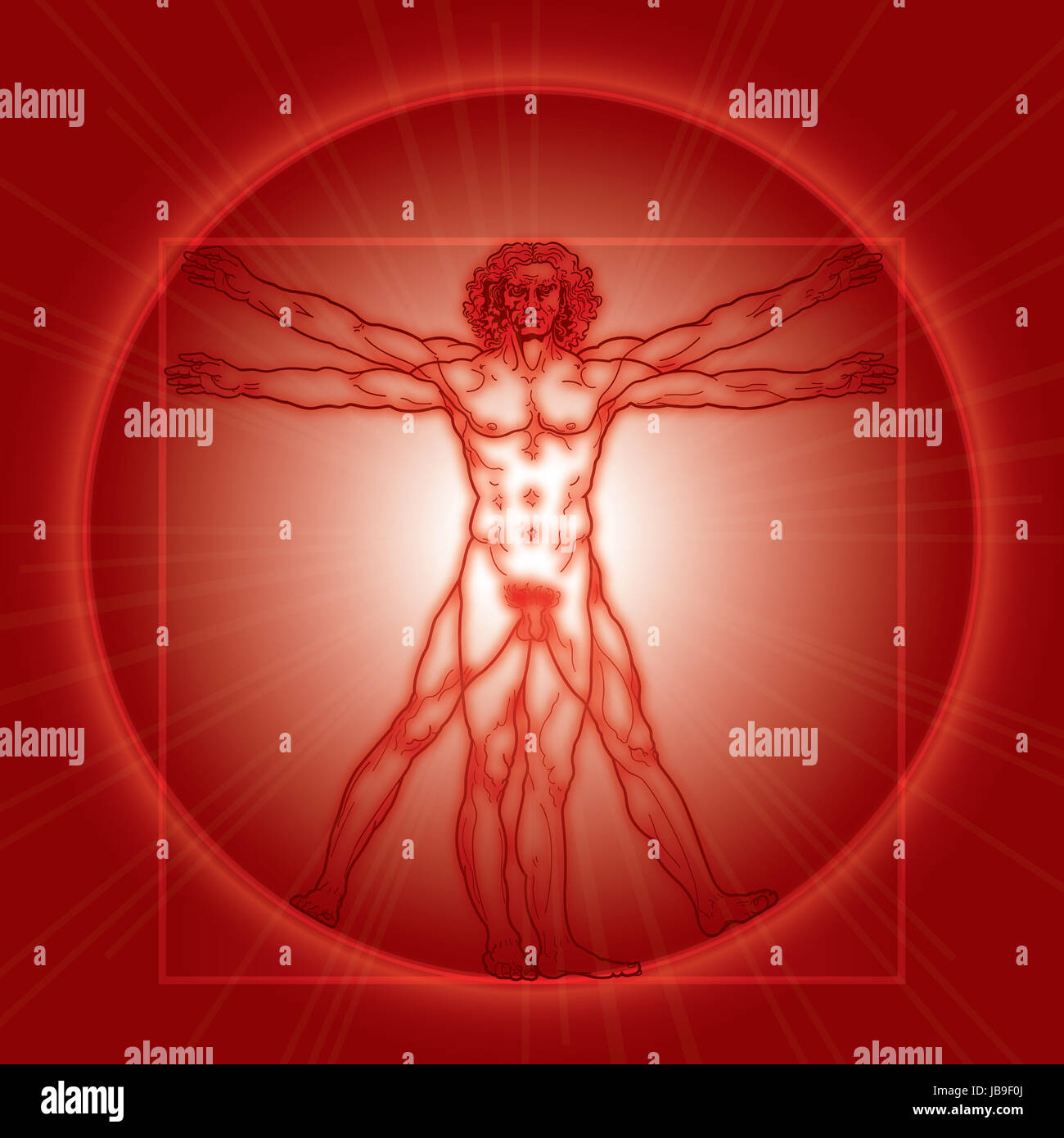 "HOMO VITRUVIANO". L'homme de Vitruve / Leonardo's man. Dessin détaillé sur base de l'oeuvre de Léonard de Vinci, effectué par lui vers 1490. Banque D'Images