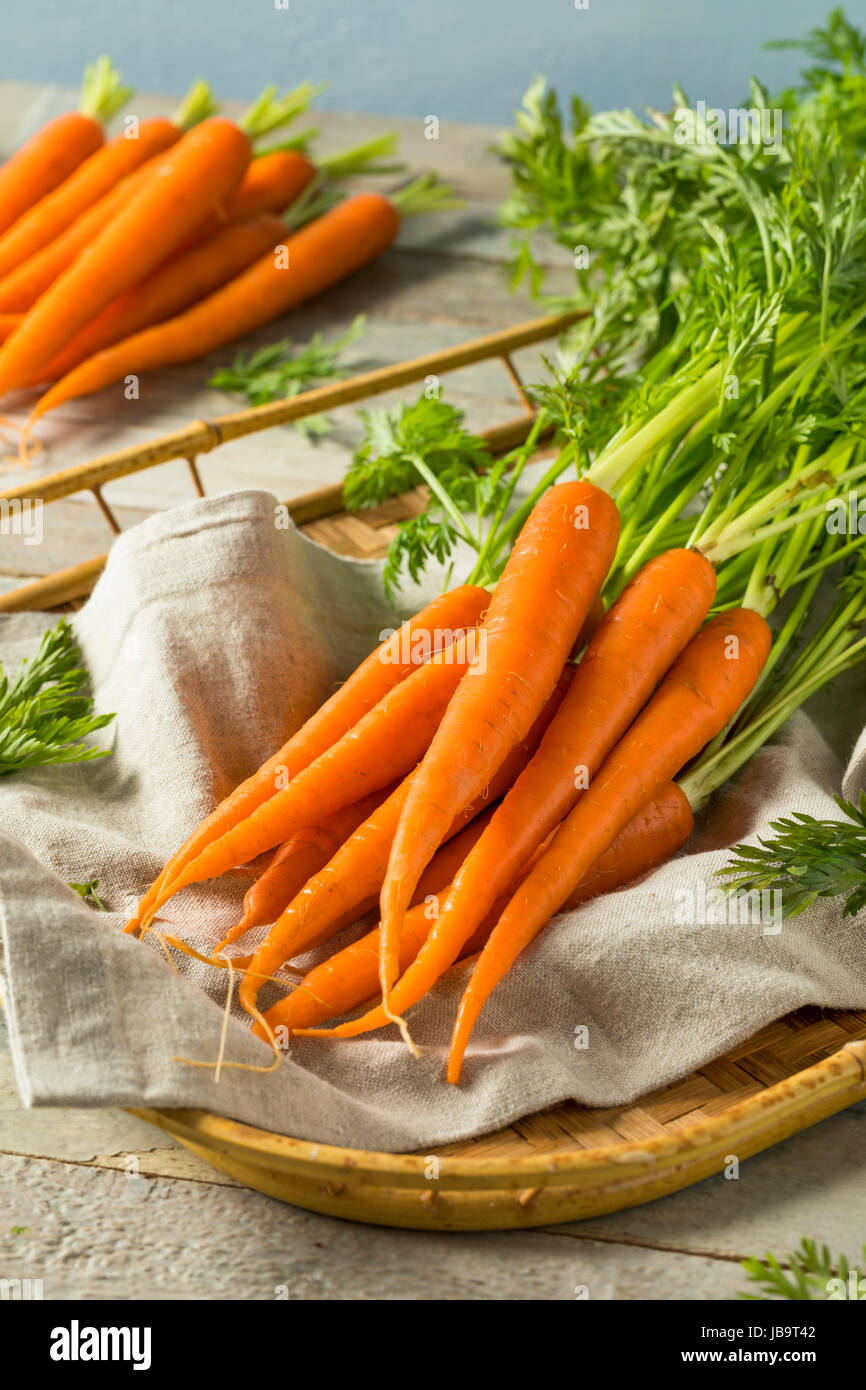 Frais biologiques Matières premières carottes orange dans un groupe Banque D'Images
