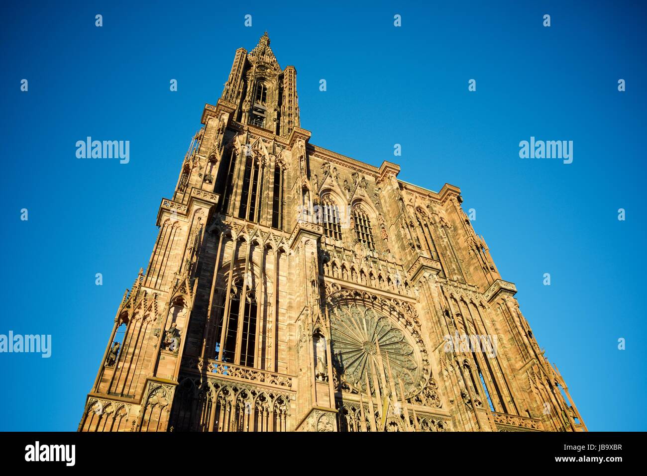 Cathédrale de Strasbourg, Alsace, France. Banque D'Images