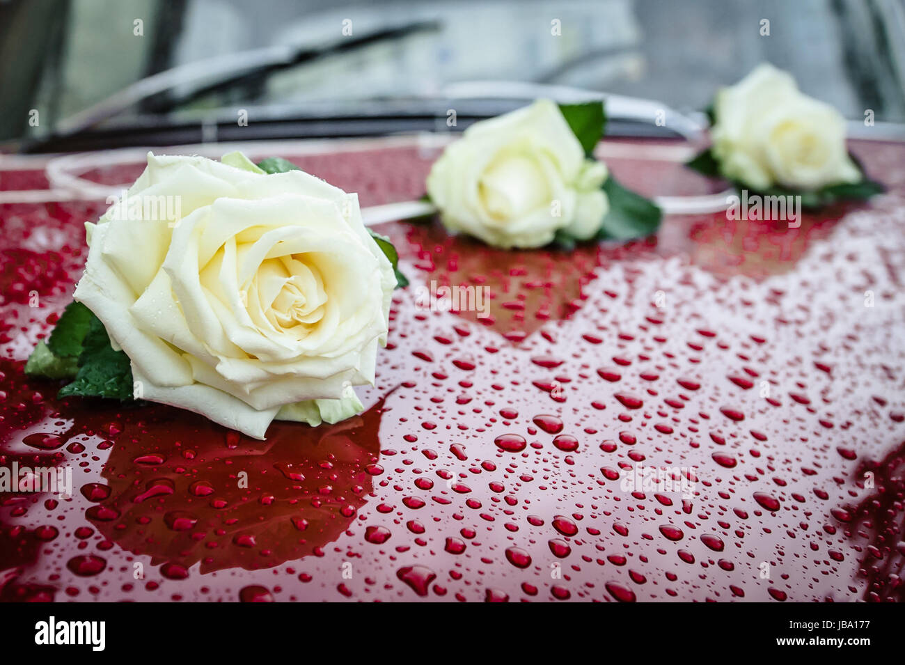 Décoration de voiture de mariage, lot de 3 roses blanches, Bordeaux ou  rouge voiture avec gouttes visibles sur le corps de la voiture Photo Stock  - Alamy
