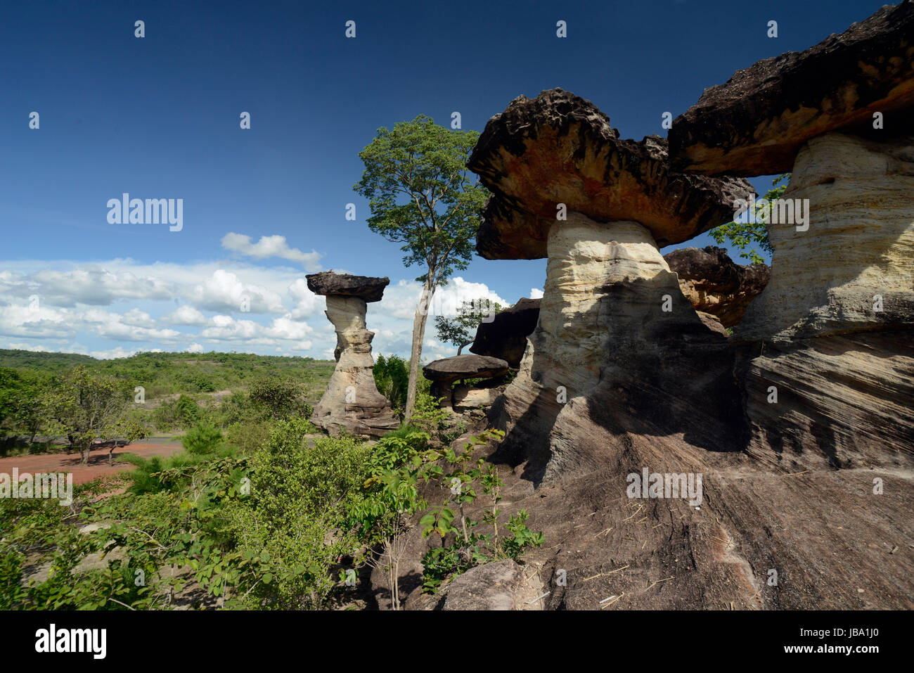 Die Landschaft und Pilzfoermigen Steinformationen Pha Taem im Nationalpark in der Umgebung von Ubon Ratchathani im nordosten dans Suedostasien von Thaïlande. Banque D'Images