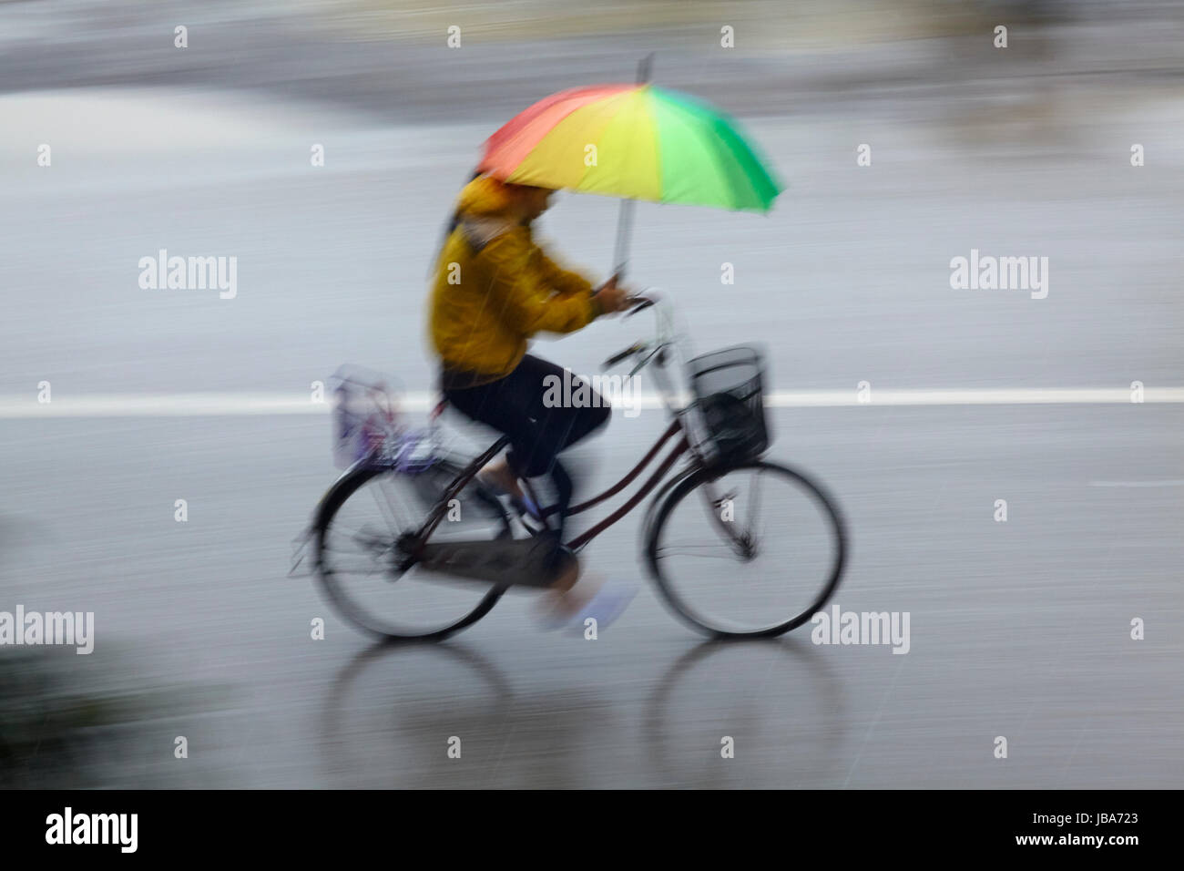 Femme avec parapluie vélo sous la pluie, Ninh Binh, Vietnam Photo Stock -  Alamy