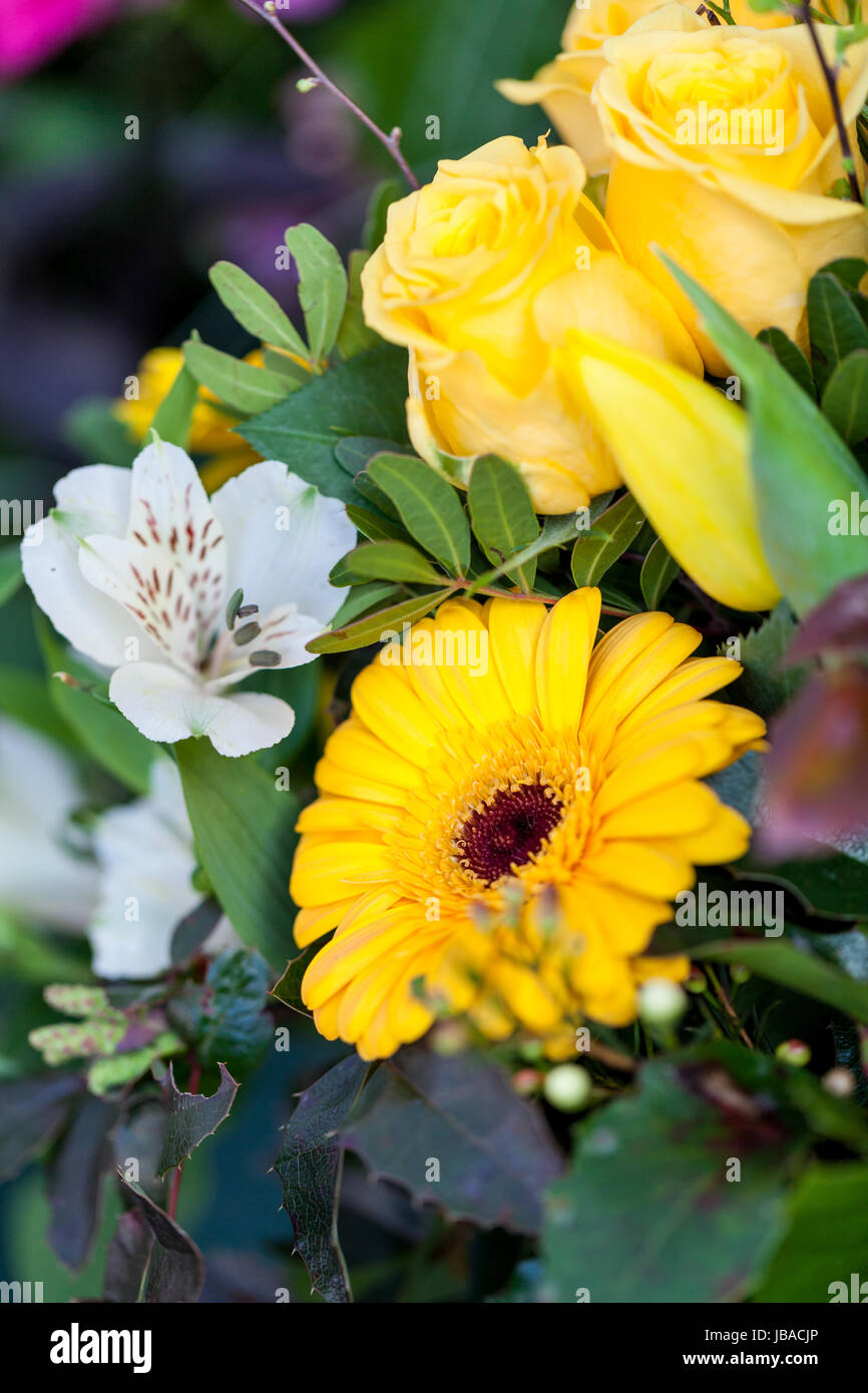 Blumenstrauß Bunter gemischte Blumen mit verschiedenen Blüten und Muttertag zum Valentinstag Banque D'Images