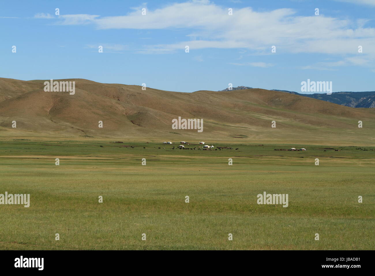 Le parc national de khustain mongolie Banque D'Images