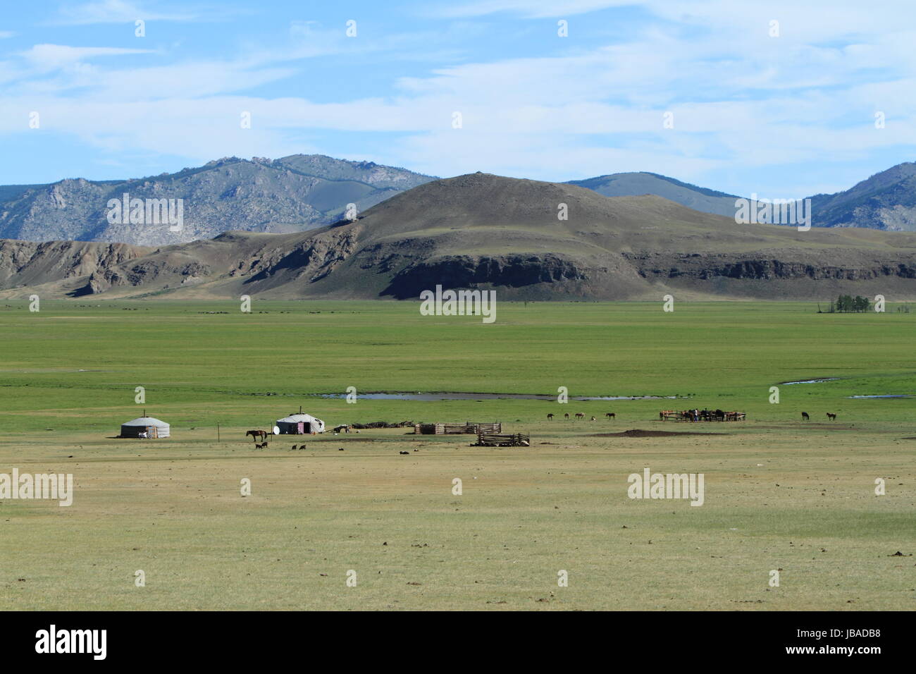 Le parc national de khustain mongolie Banque D'Images