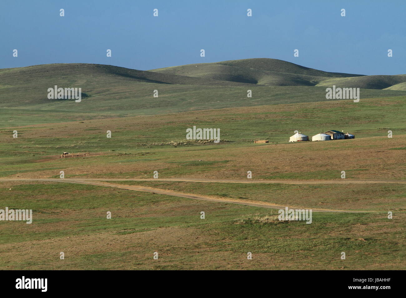 Le parc national de khustain en Mongolie Banque D'Images