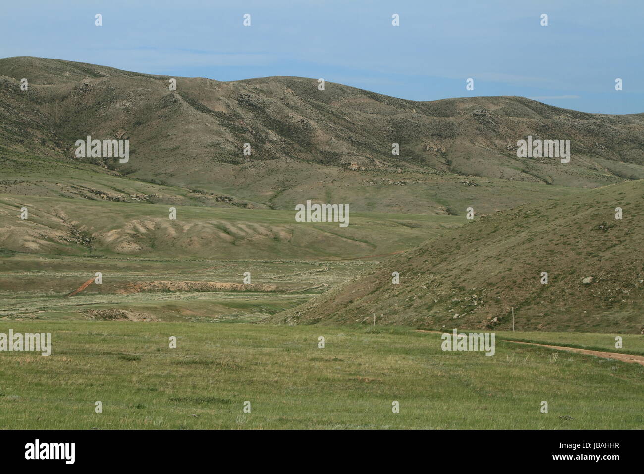 Le parc national de khustain en Mongolie Banque D'Images