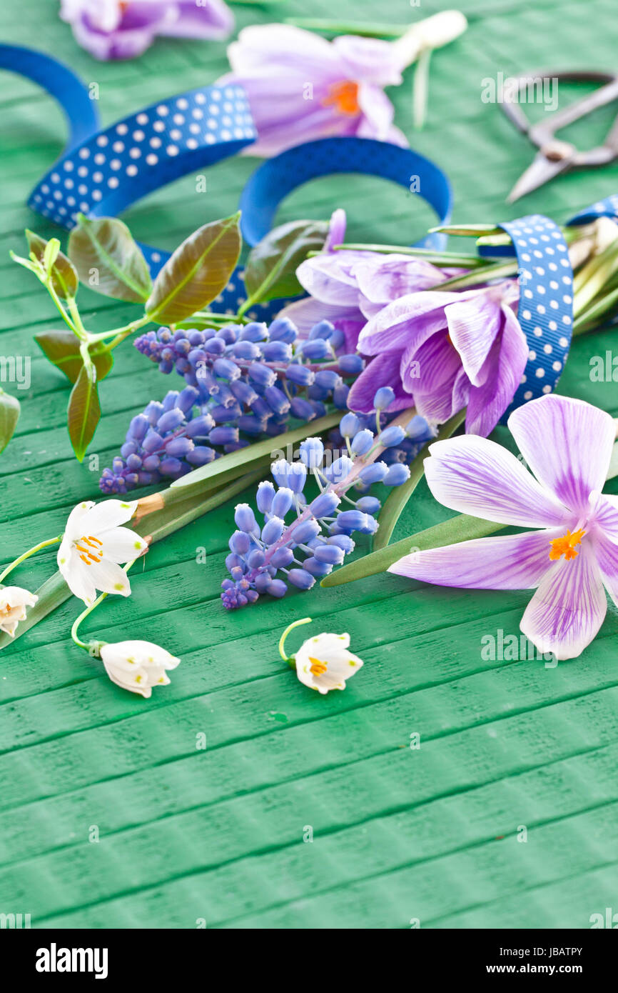 Fruehlingsblumen Frische auf grün mit Schleife Banque D'Images