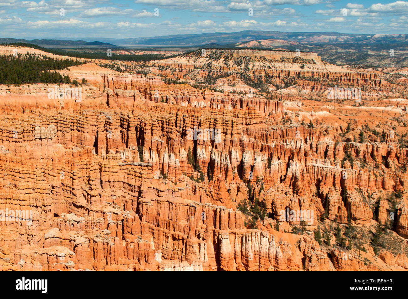 Les cheminées d'Inspiration Point, Bryce Canyon, Utah, USA Banque D'Images