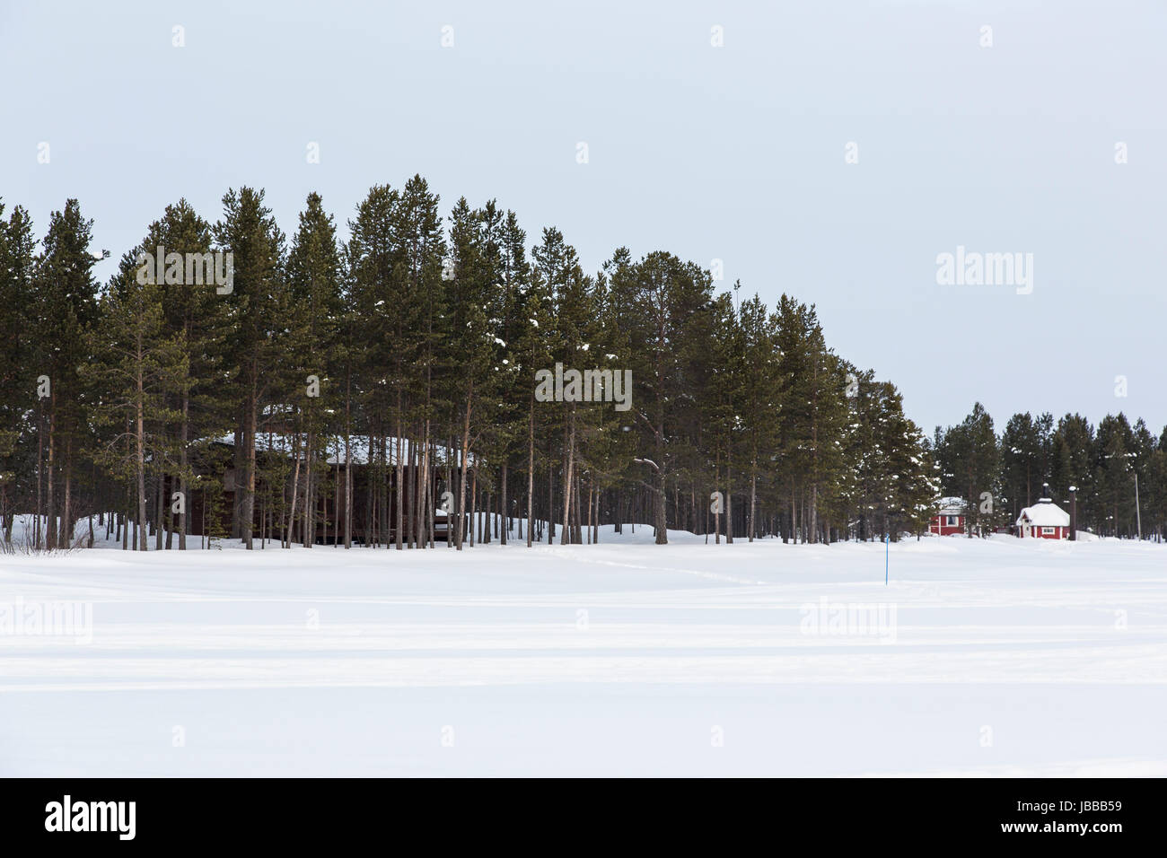 Verscheite Schneelandschaft en Finlande bei Inari Banque D'Images