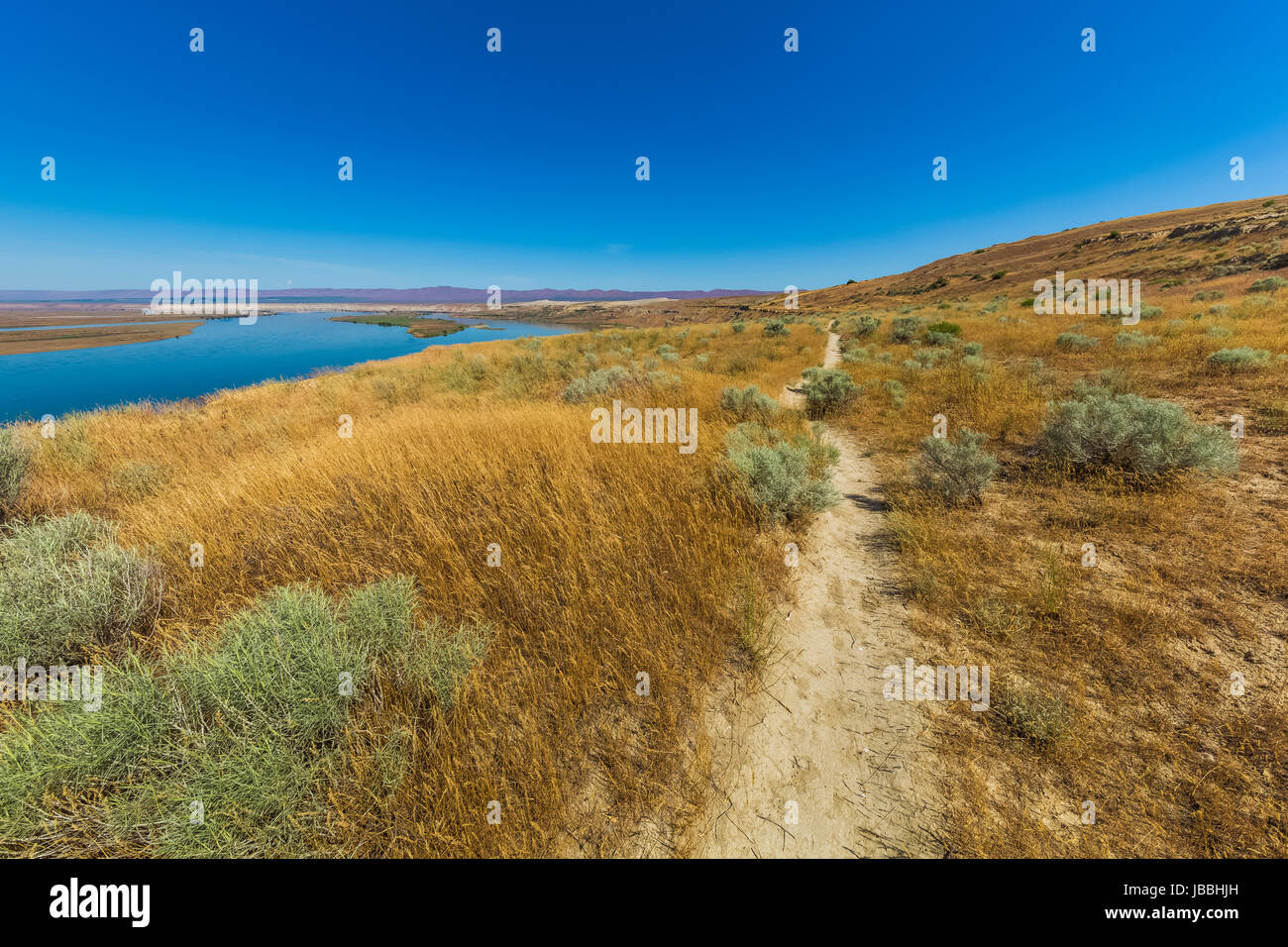 Sentier menant à White Bluffs de Hanford Reach National Monument, bassin du fleuve Columbia, Washington State, USA Banque D'Images