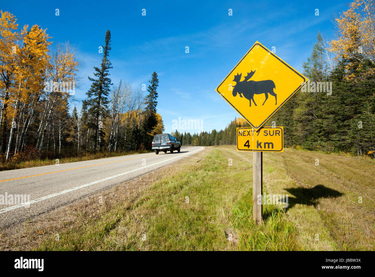 Panneau d'avertissement sur la route de Moose Crossing, Parc national du Mont-Riding, Manitoba, Canada Banque D'Images