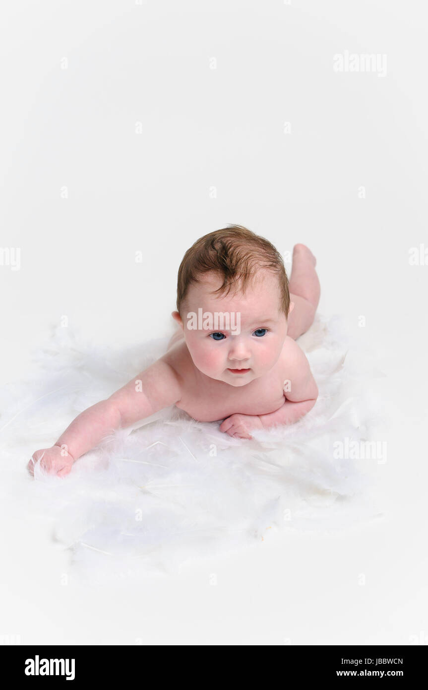 Suesses Bébé Neugeborenes nackt auf weißer bär Federn Hintergrund weißem vor. Banque D'Images