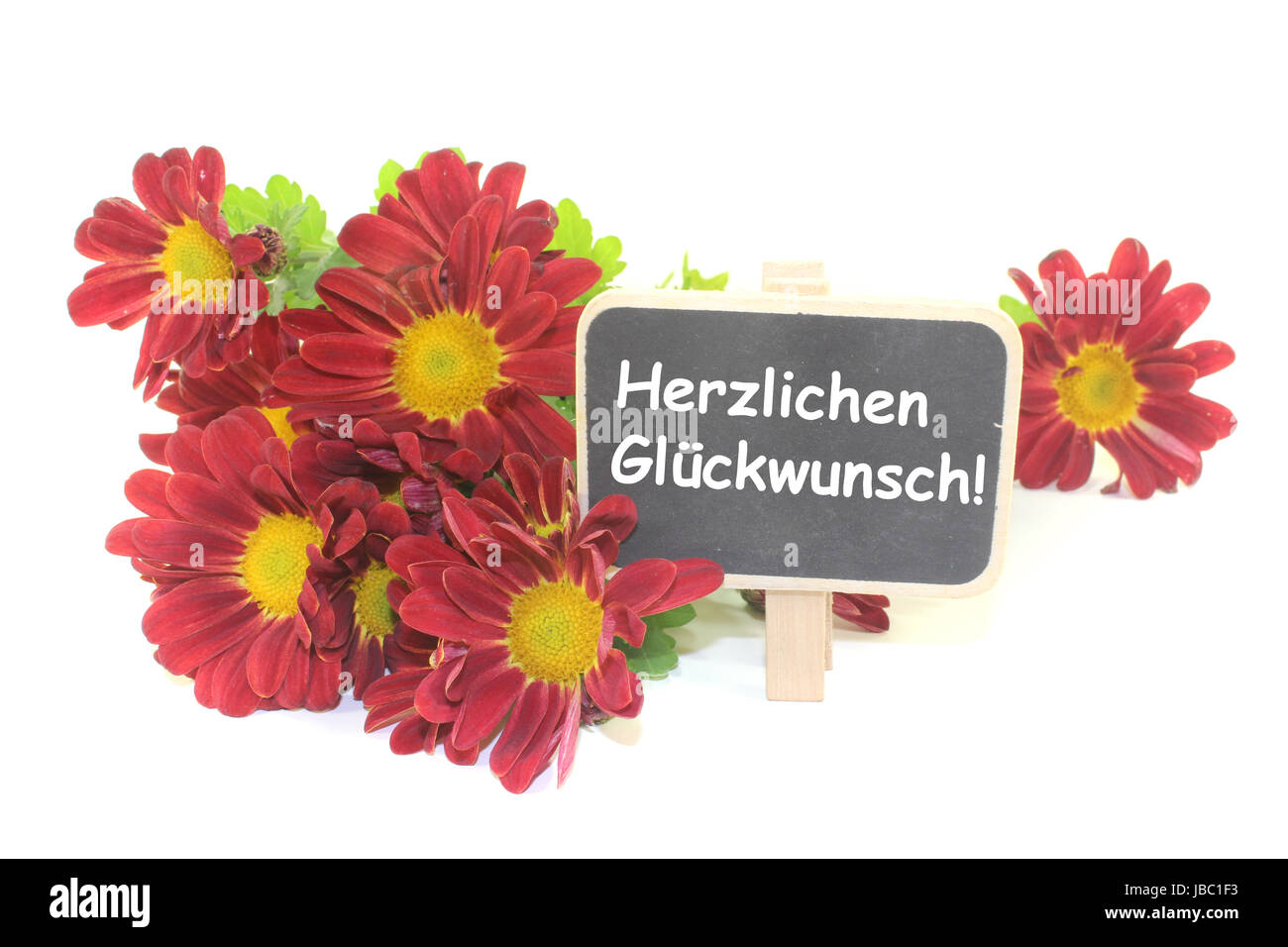 Ein Strauß rote Chrysanthemen mit Hintergrund hellem Tafel vor Banque D'Images