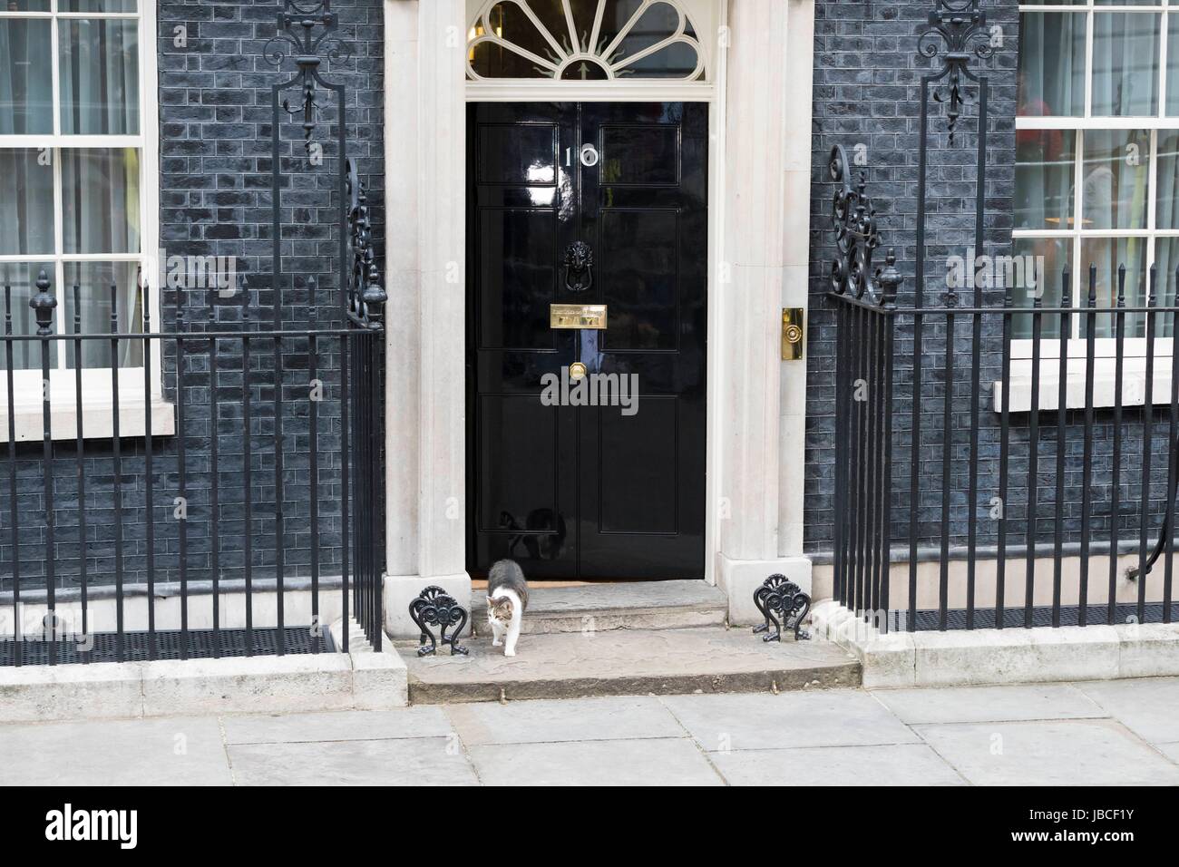 London, Royaume-Uni de Grande-Bretagne et d'Irlande du Nord. 09Th Juin, 2017. Larry le chat au 10 Downing Street. Londres, Royaume-Uni. 09/06/2017 | Crédit dans le monde entier d'utilisation : dpa/Alamy Live News Banque D'Images