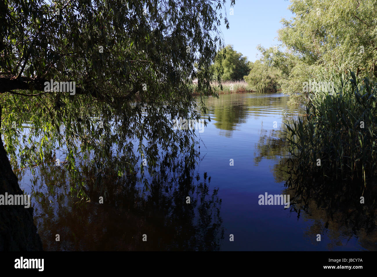 L'un des principaux canaux dans le Delta du Danube en Roumanie, le delta du fleuve plus intacts en Europe et site du patrimoine mondial de l'UNESCO. Banque D'Images