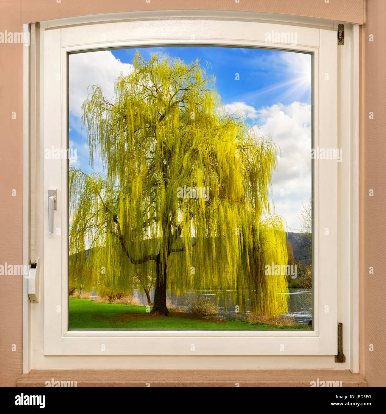 Der Blick durch ein Fenster auf die schöne Natur une einem sonnigen Frühlingstag Banque D'Images