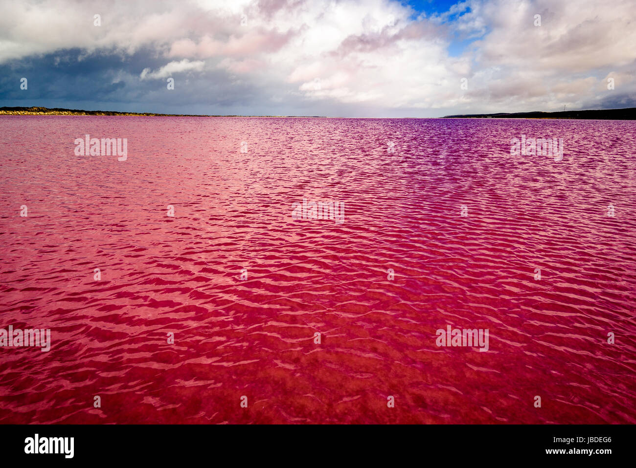 Lac Rose de Hutt Lagoon, l'ouest de l'Australie Banque D'Images