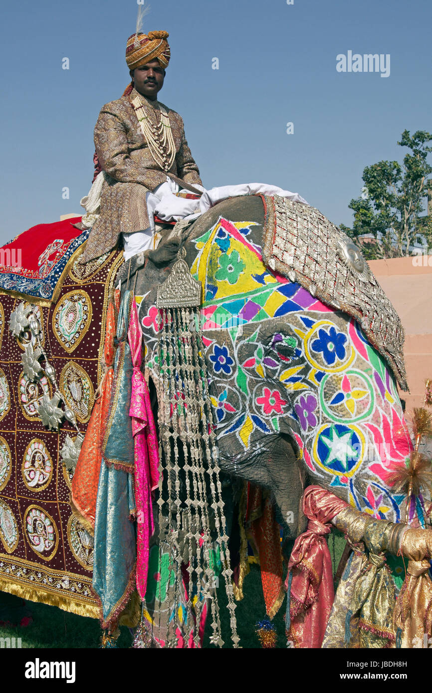 Éléphant mahout et décorée à l'assemblée annuelle du festival de l'éléphant à Jaipur Rajasthan en Inde. Banque D'Images