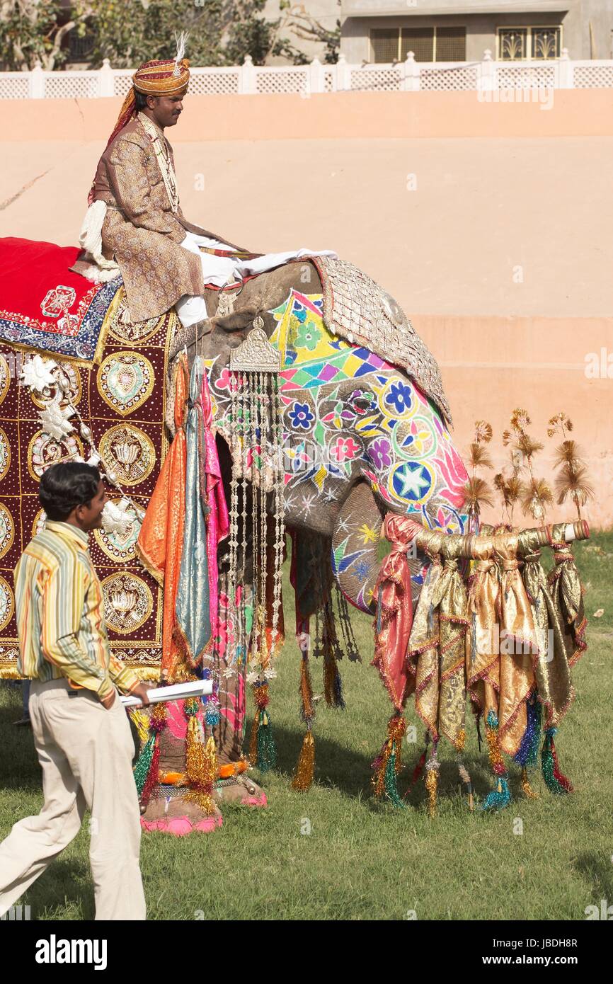 Éléphant mahout et décorée à l'assemblée annuelle du festival de l'éléphant à Jaipur Rajasthan en Inde. Banque D'Images