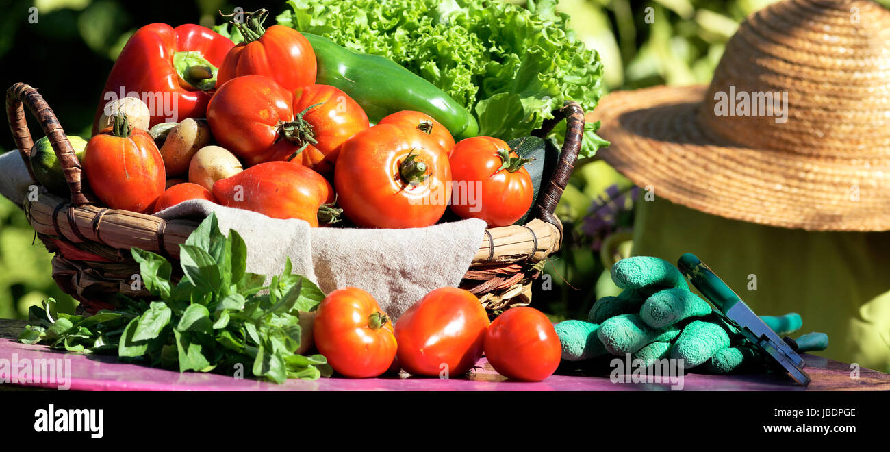 Différents légumes frais et secateur sur la table de jardin Banque D'Images