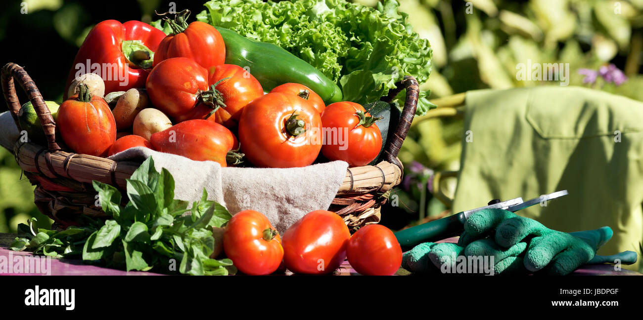 Différents légumes frais sur la table de jardin Banque D'Images