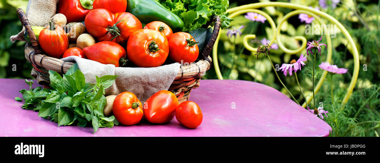 Différents légumes frais sur la table de jardin Banque D'Images