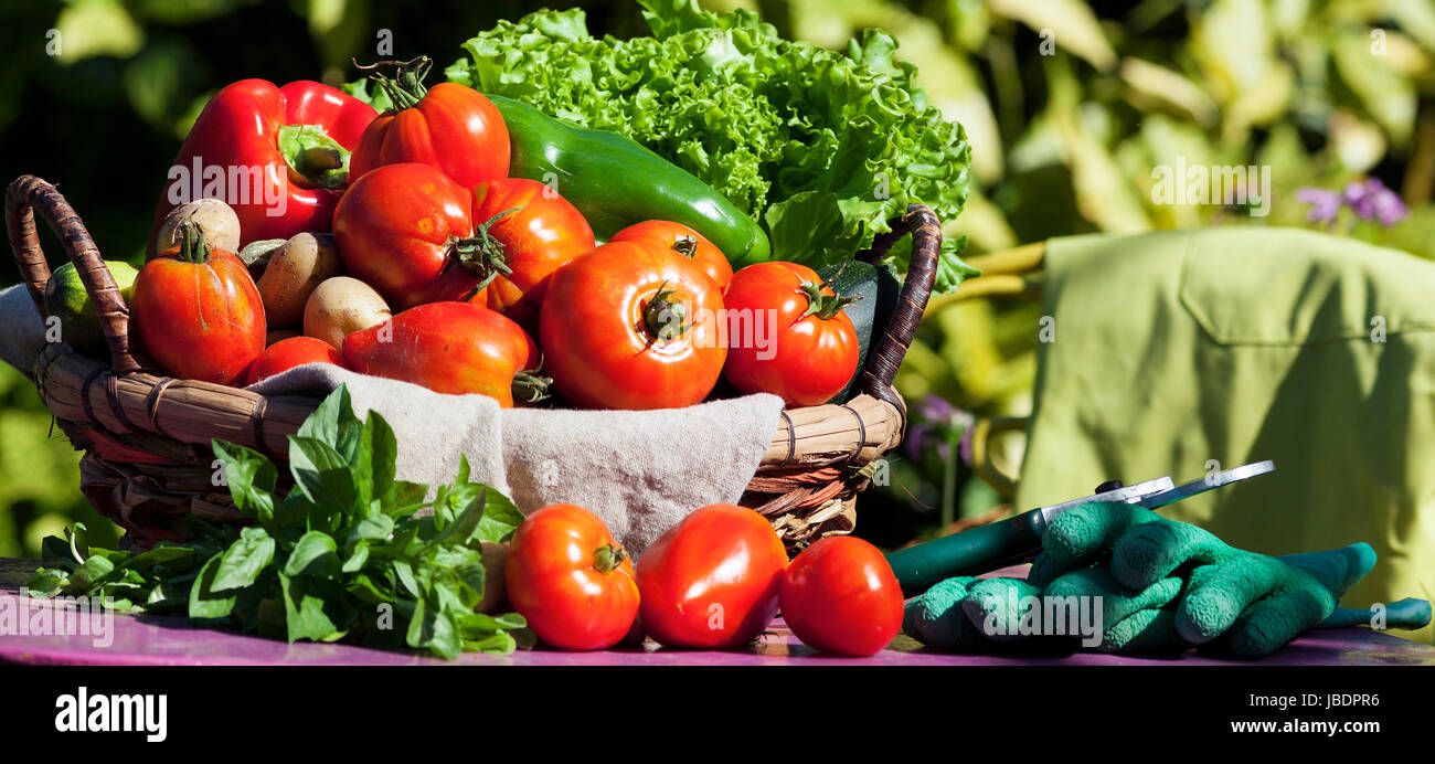 Quelques légumes dans un panier sous la lumière du soleil Banque D'Images