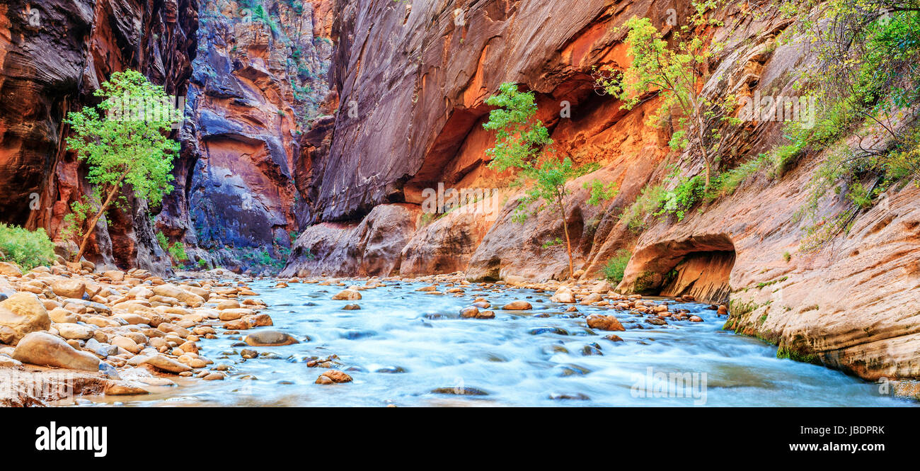 De rapides peu profonds de la célèbre Vierge fleuve se rétrécit dans le parc national de Zion - Utah Banque D'Images