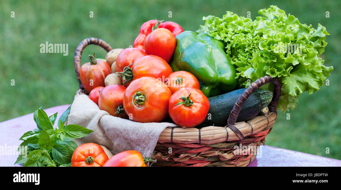 Des légumes sur une table dans un jardin sous la lumière du soleil Banque D'Images