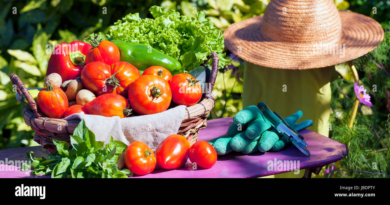 Quelques légumes dans un panier sous le soleil Banque D'Images