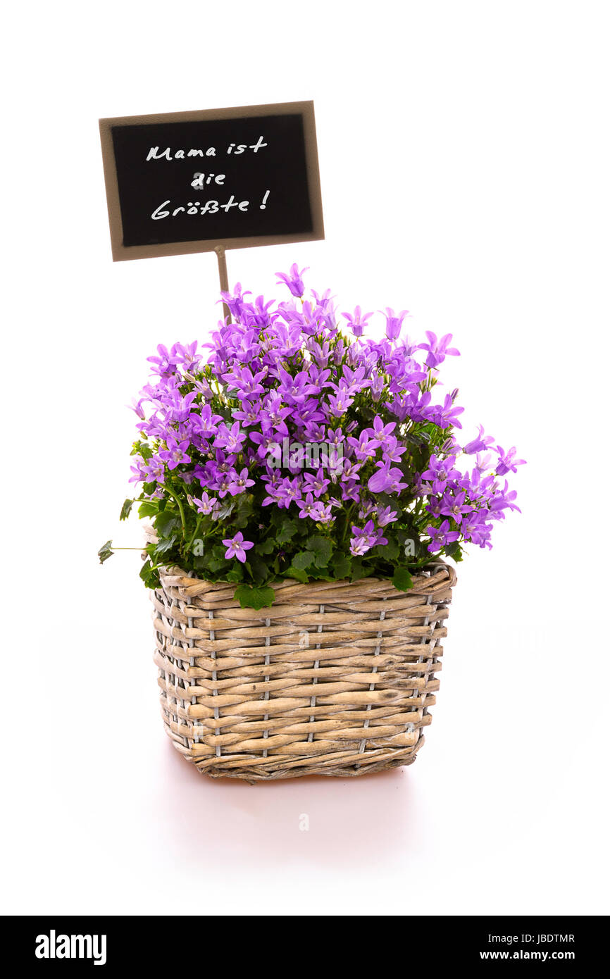 Panier de fleurs avec la déclaration d'amour Banque D'Images