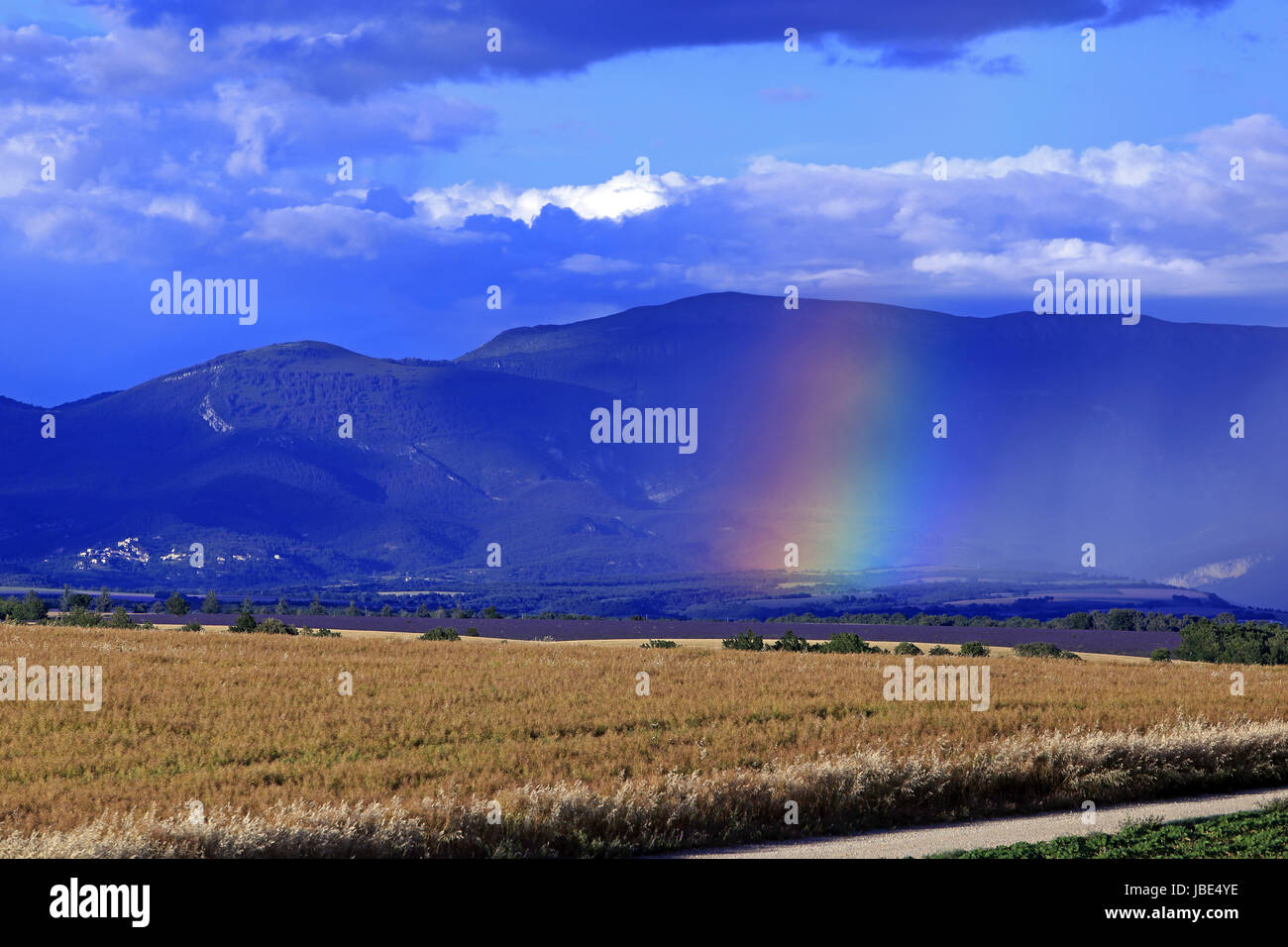 Arc-en-ciel sur le Plateau de Valensole, Alpes de Haute-Provence, Provence, France Banque D'Images