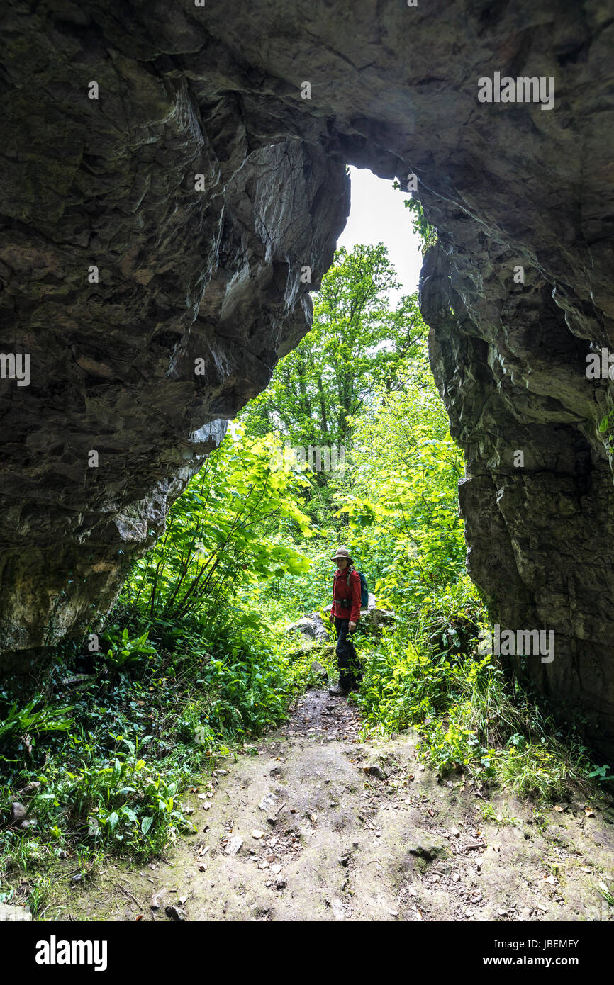 Entrée de la grotte du trou de chat site peinture Cave, Vert mcg, Gower, Pays de Galles, Royaume-Uni Banque D'Images