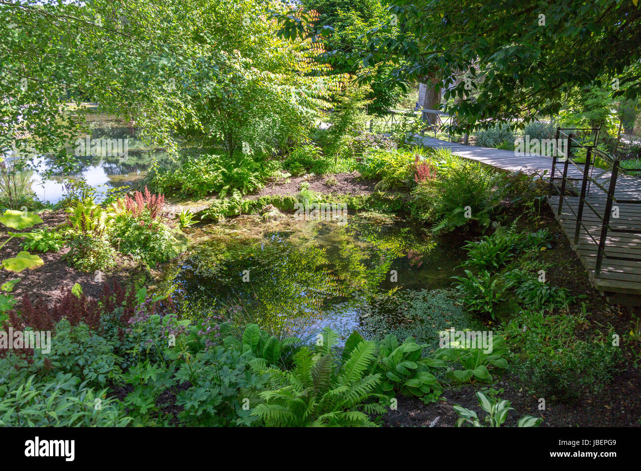 'Les Sources' dans les jardins du Palais de l'évêque sont où l'eau qui donne son nom à la ville jusqu'à la surface des puits dans les puits, Somerset, England, UK Banque D'Images