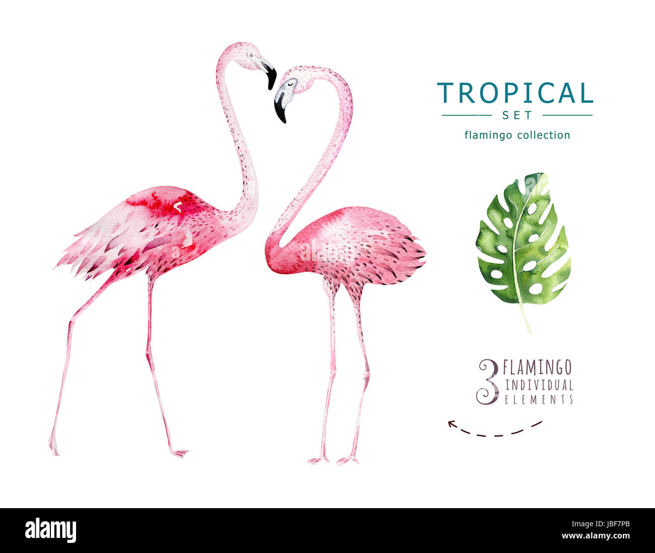 Aquarelle oiseaux tropicaux à la main ensemble de Flamingo. Les illustrations d'oiseaux exotiques rose, arbre de la jungle, le Brésil trendy art. parfait pour le motif du tissu. Aloha Banque D'Images