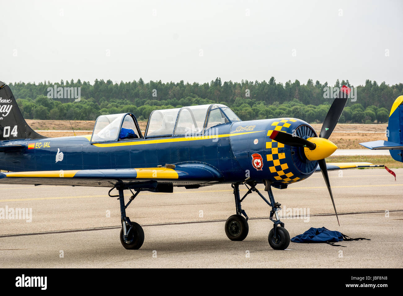 Air show avec avions Yak-52 au Portugal Banque D'Images