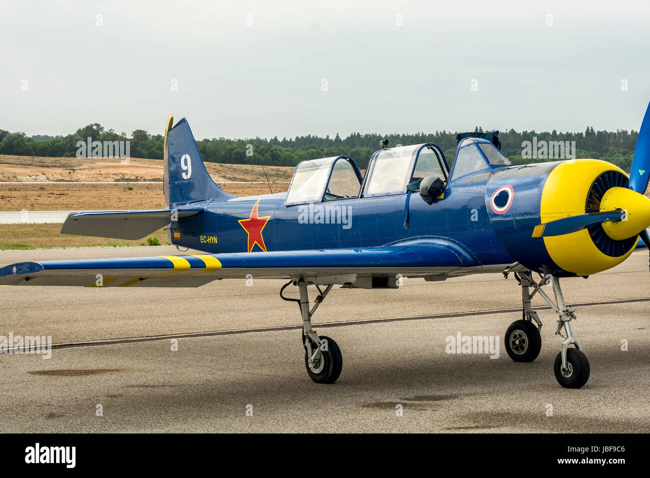 Air show avec avions Yak-52 au Portugal Banque D'Images