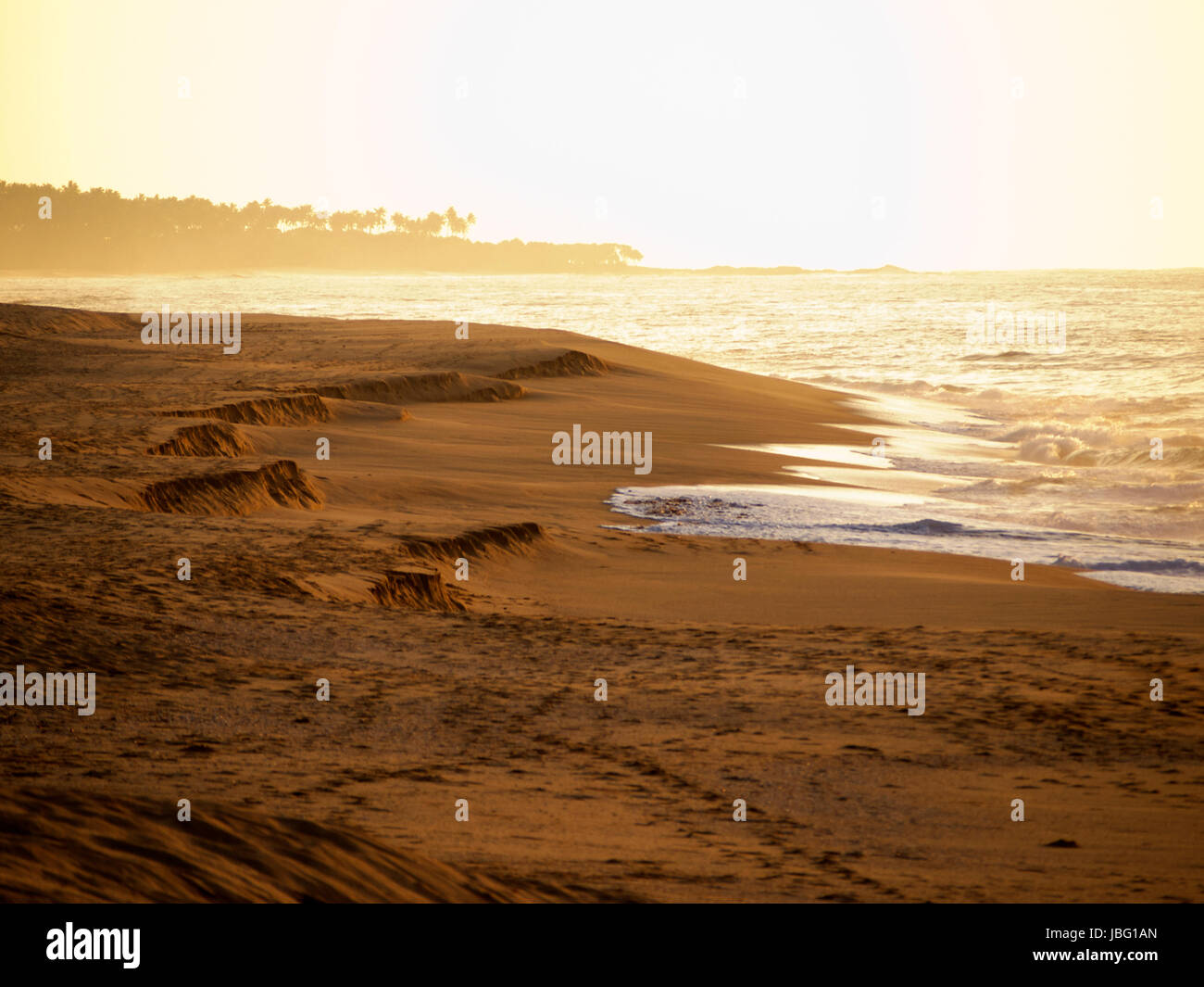 Lever de soleil à la plage Banque D'Images